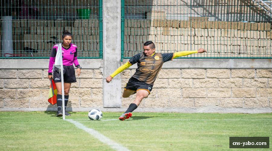 了解亚博yabo首页